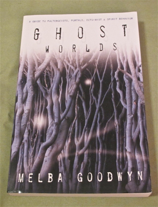Ghost Worlds: A Guide to Poltergeists, Portals, Ecto Mist and Spirit Behavior