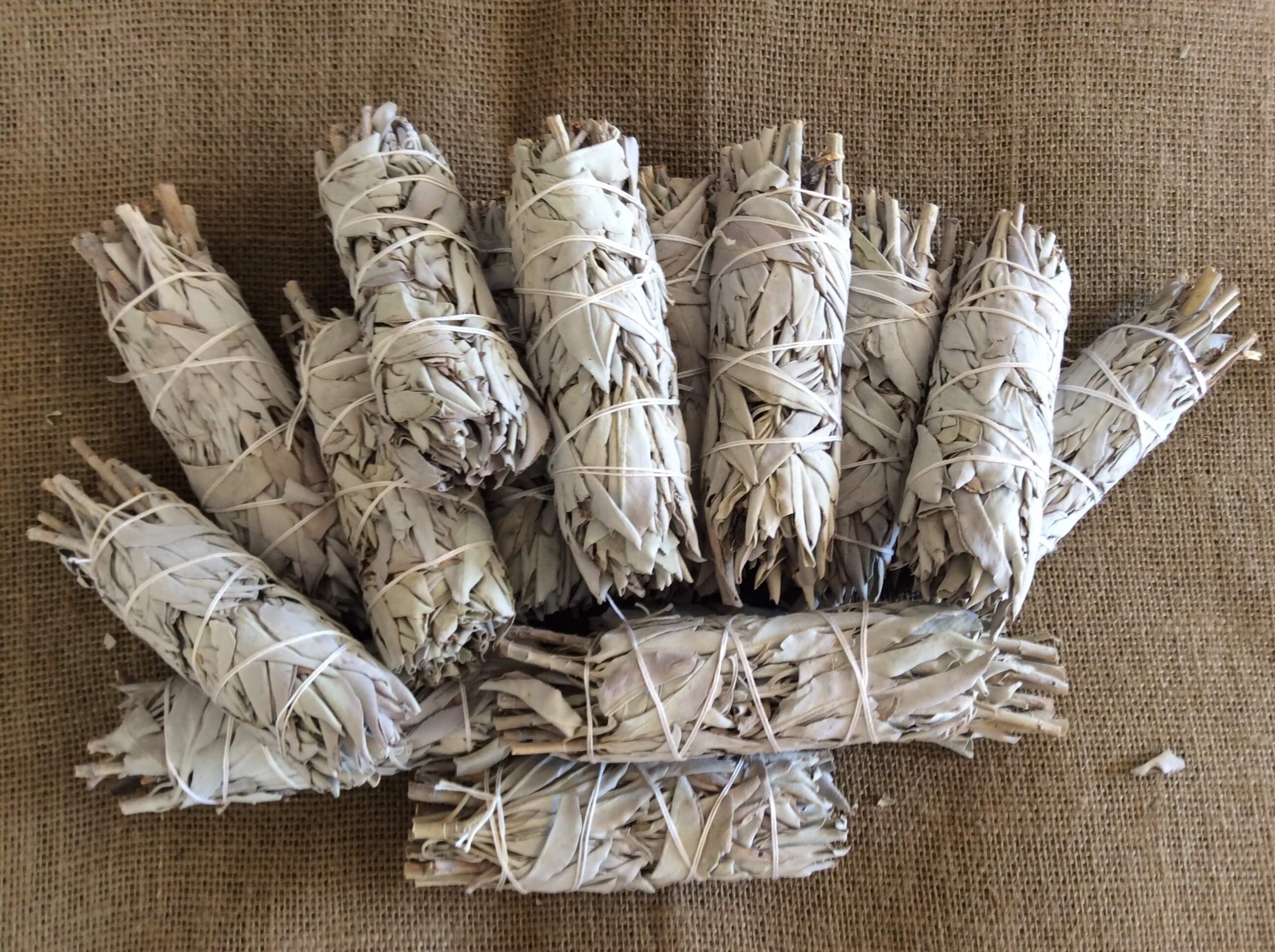 Bulk White Sage Wand 